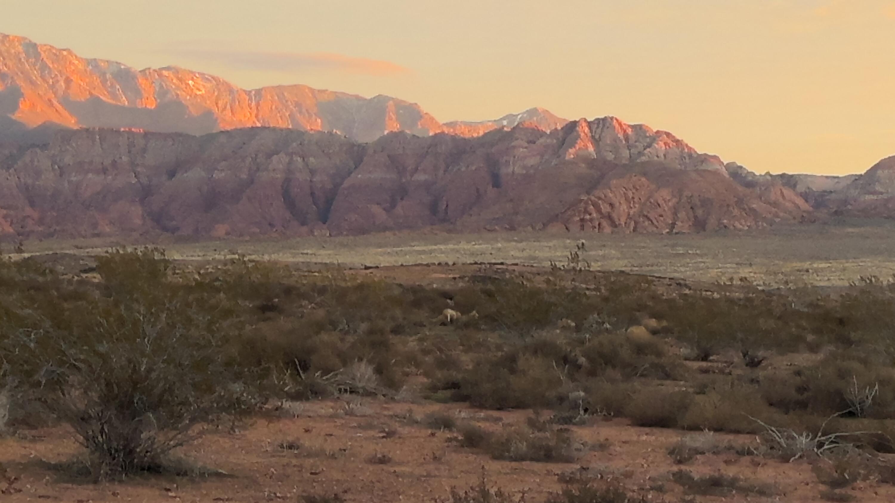 WASHINGTON VISTA - Land