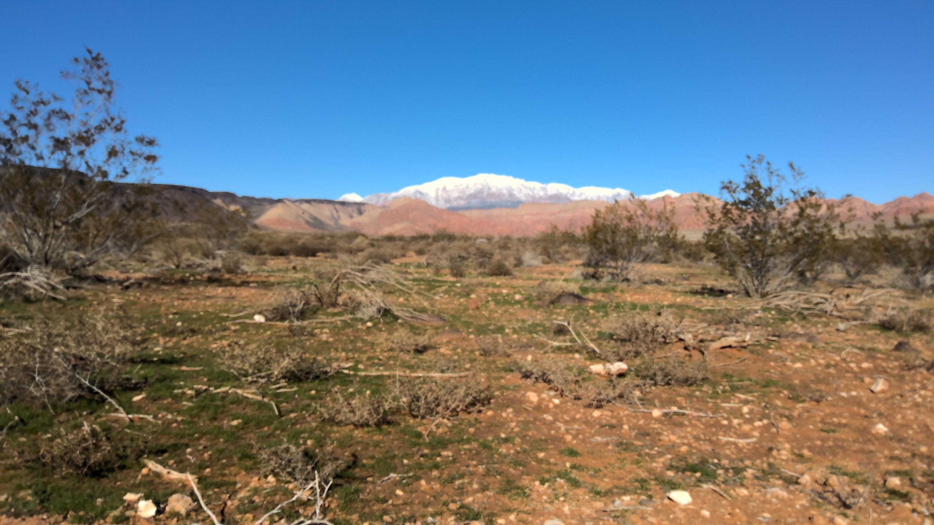 WASHINGTON VISTA - Land