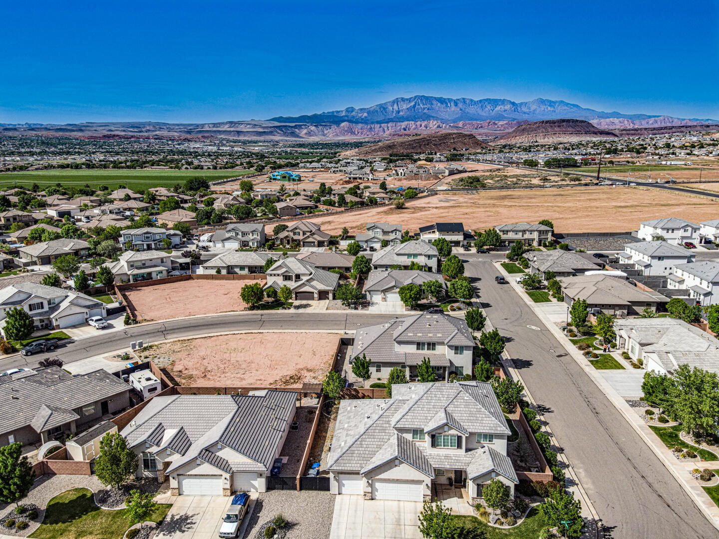 STEEPLECHASE AT WASHINGTON FIELDS - Land