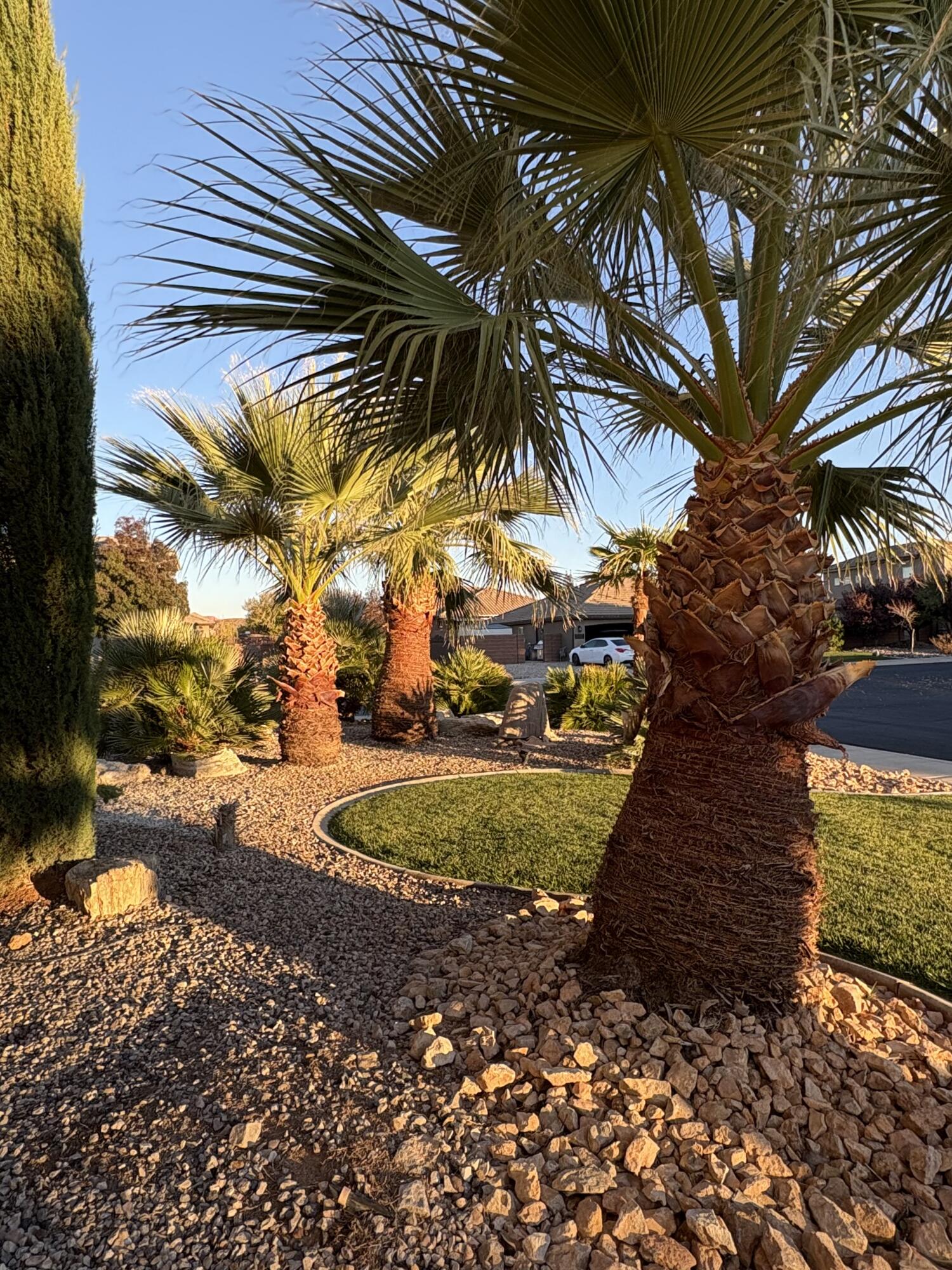 MULBERRY ESTATES - Residential