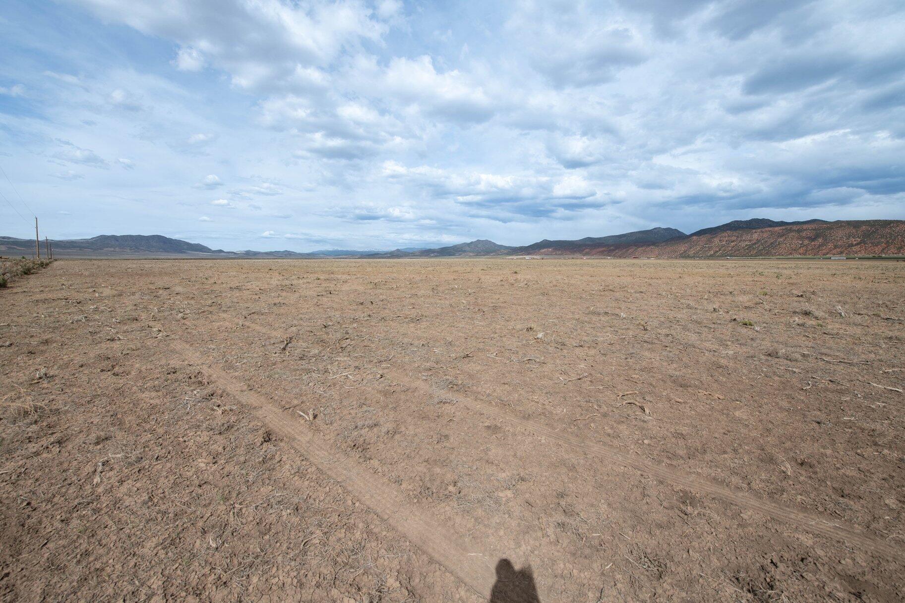 NOT AVAILABLE - Land