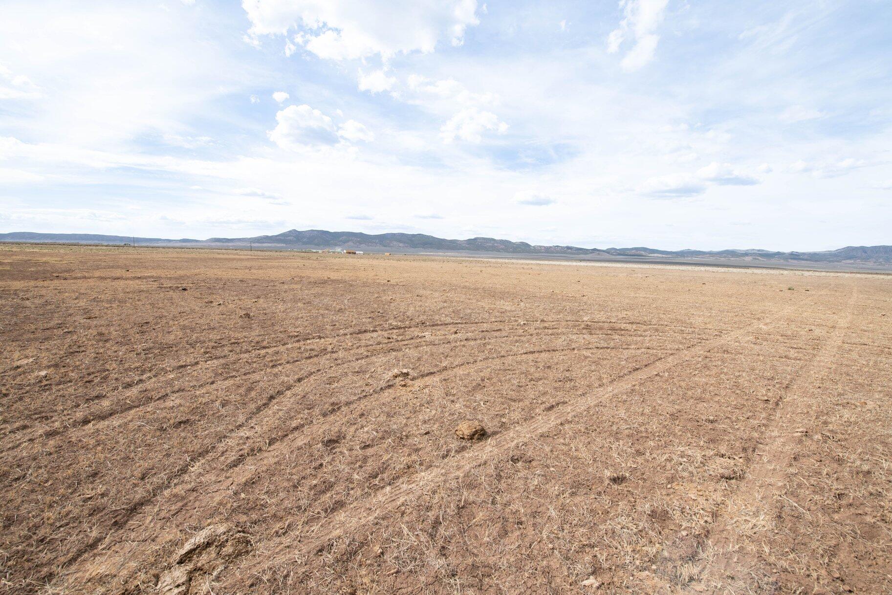 NOT AVAILABLE - Land