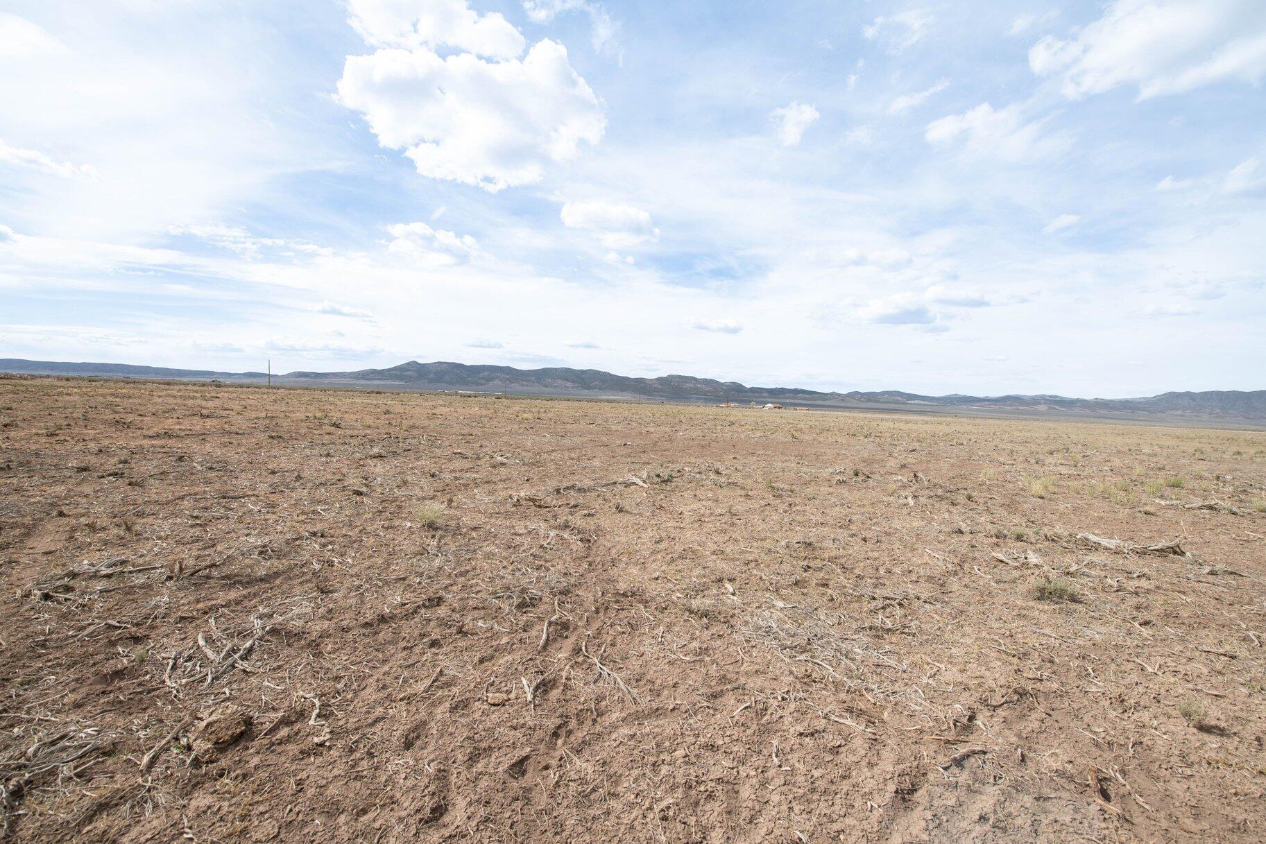 NOT AVAILABLE - Land