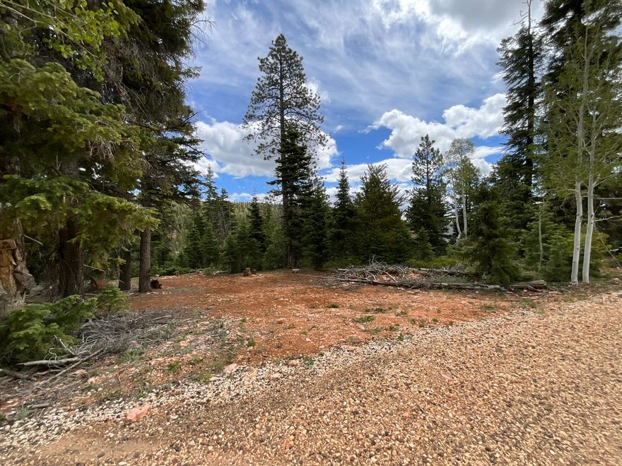 Located just 10 miles from the commercial district of Duck Creek Village. This .5 acre lot gives you the luxury of convenience while still being the mountain retreat you always dreamed of. Come make this beautiful mountain lot your dream and fall in love today!