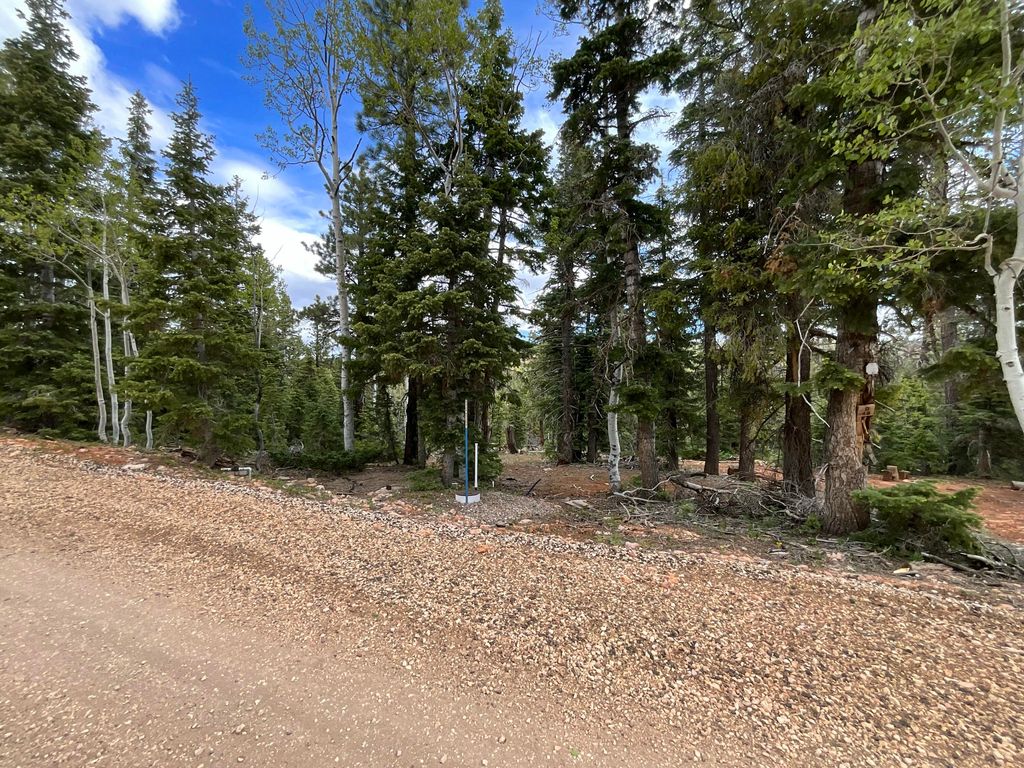 Photo of 175 S Lupin LN, Duck Creek, UT 84762 (MLS # 26-272897)