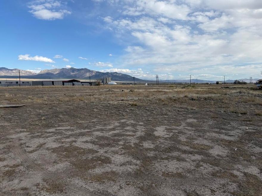 Great opportunity in Milford! This property includes two lots being sold together as one, offering plenty of space and flexibility. It's well-suited for storage, recreational use, or a potential long-term investment.

Development may be possible; however, access will need to be addressed and utilities would need to be brought to the property. All information is deemed reliable but not guaranteed--buyers are advised to verify all requirements, including zoning, access, and utility availability, with Milford City.