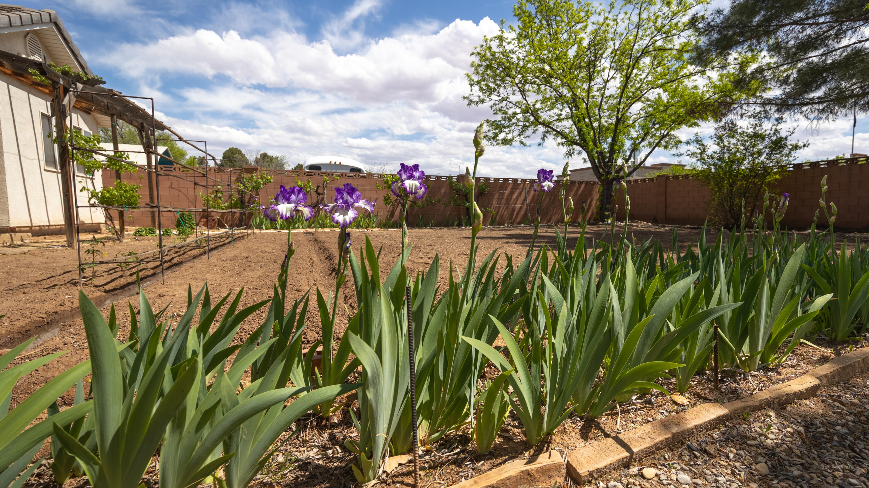 TERRA COTTA - Residential