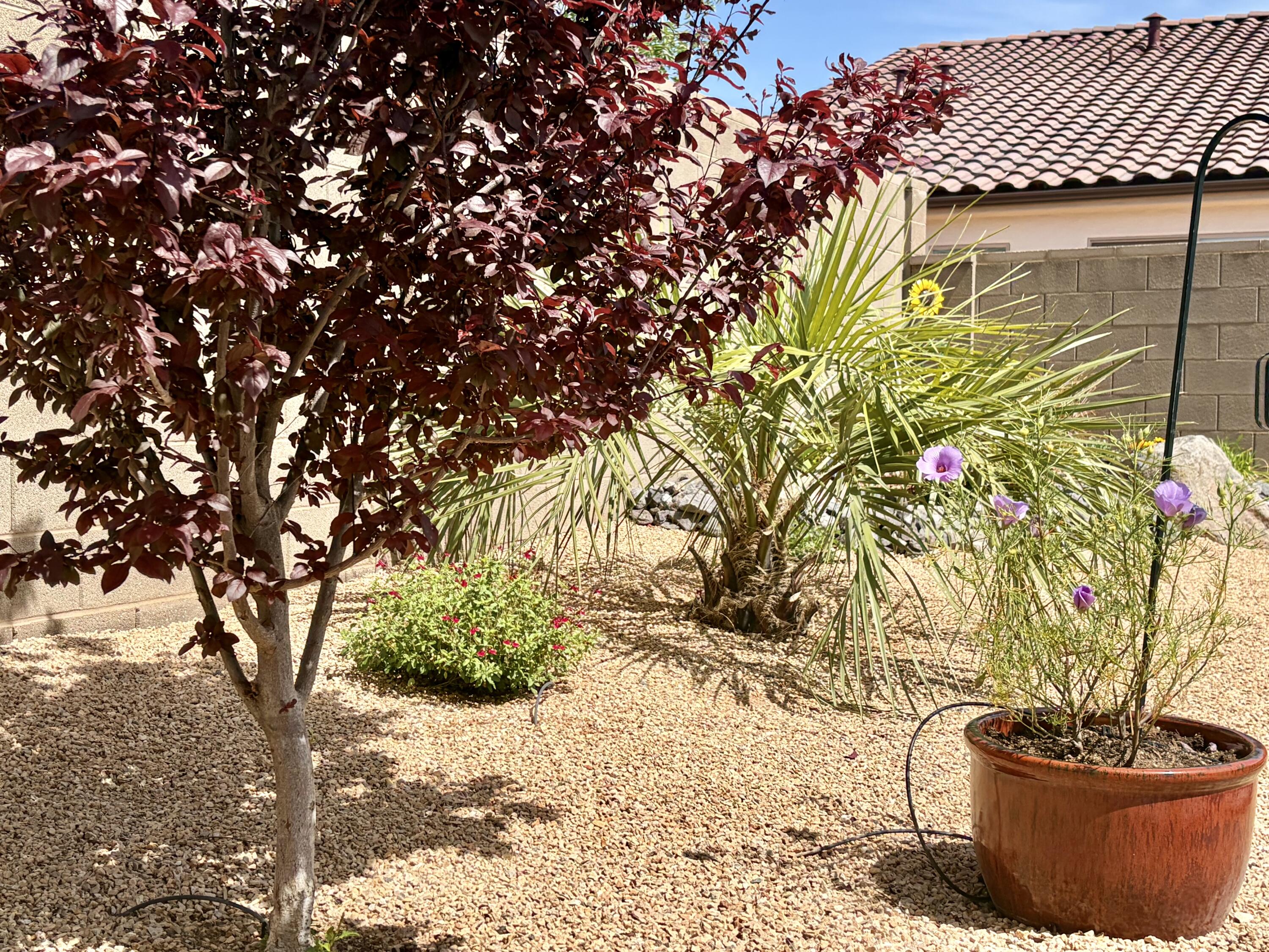 SOLIS AT CORAL CANYON - Residential