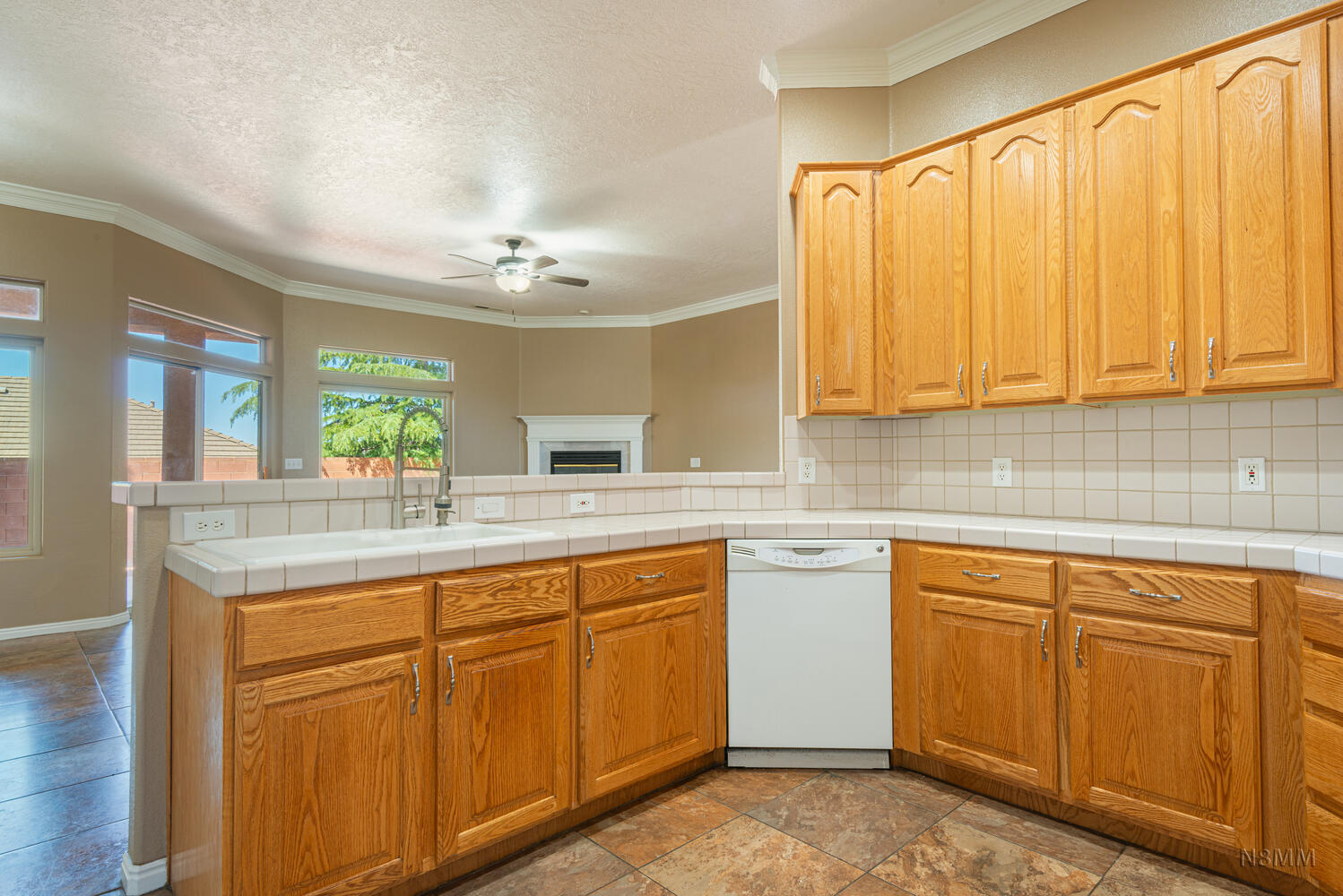 PAINTED HILLS RLINGTON HEIGHTS - Residential