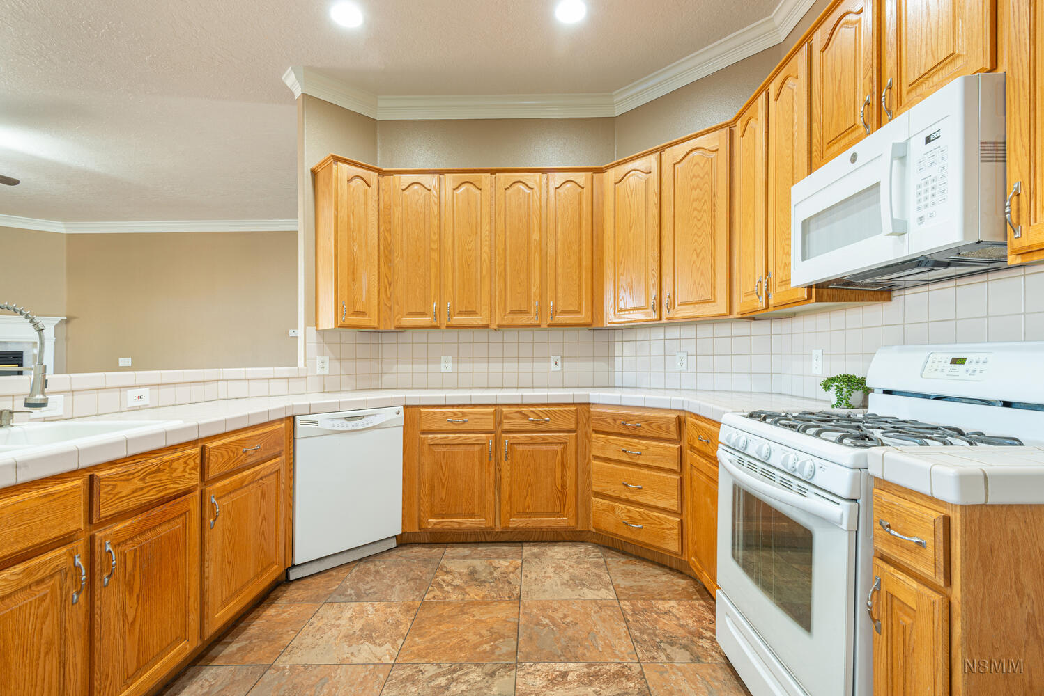 PAINTED HILLS RLINGTON HEIGHTS - Residential