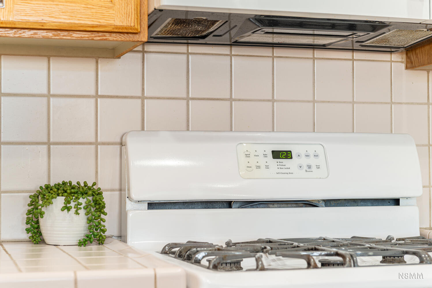 PAINTED HILLS RLINGTON HEIGHTS - Residential