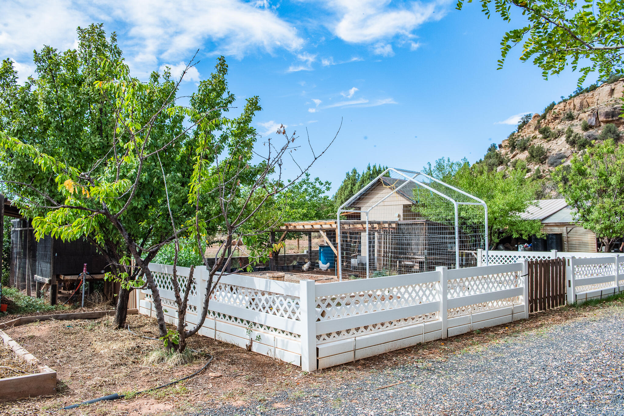 APPLE VALLEY RANCH GOOSEBERRY - Residential