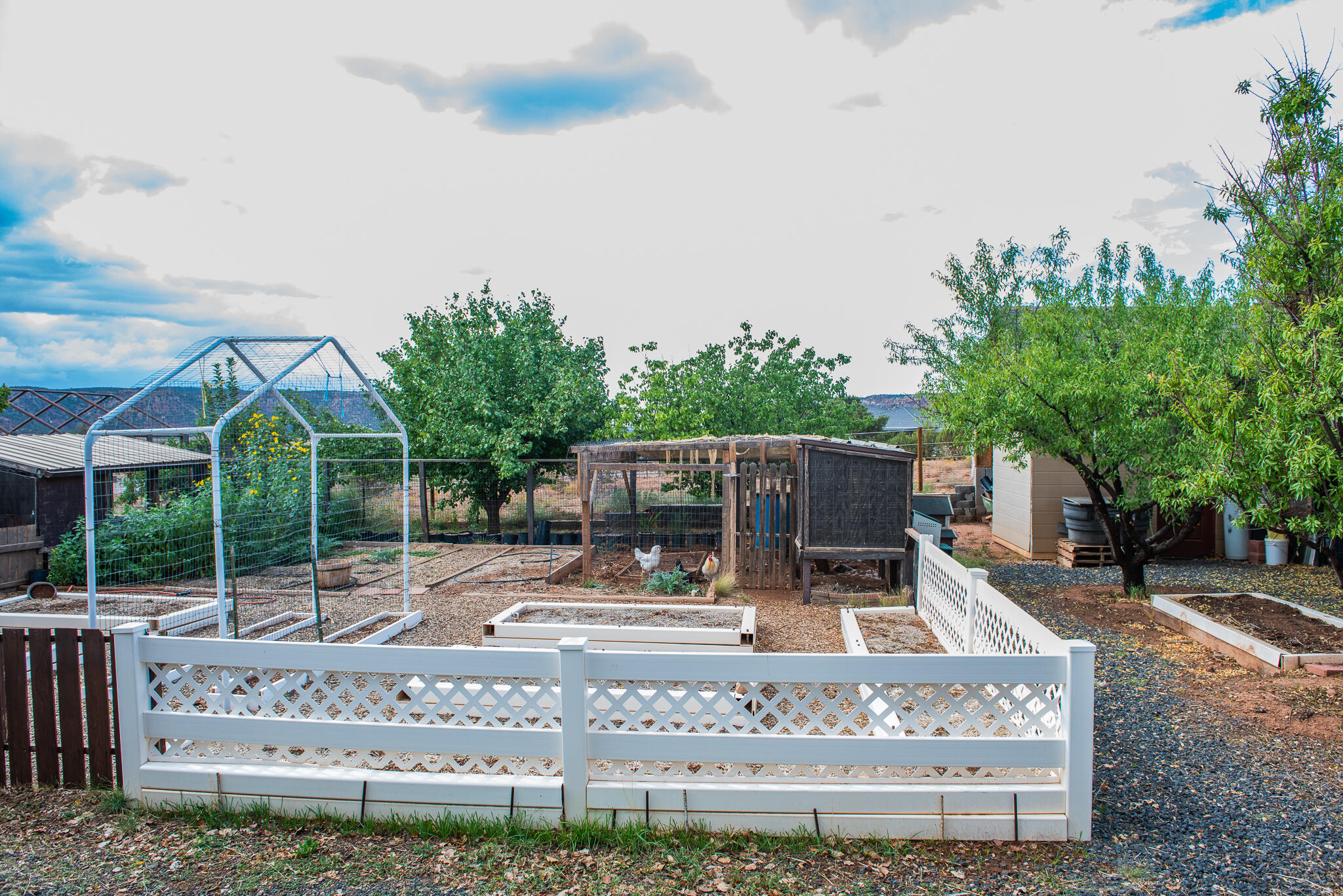 APPLE VALLEY RANCH GOOSEBERRY - Residential