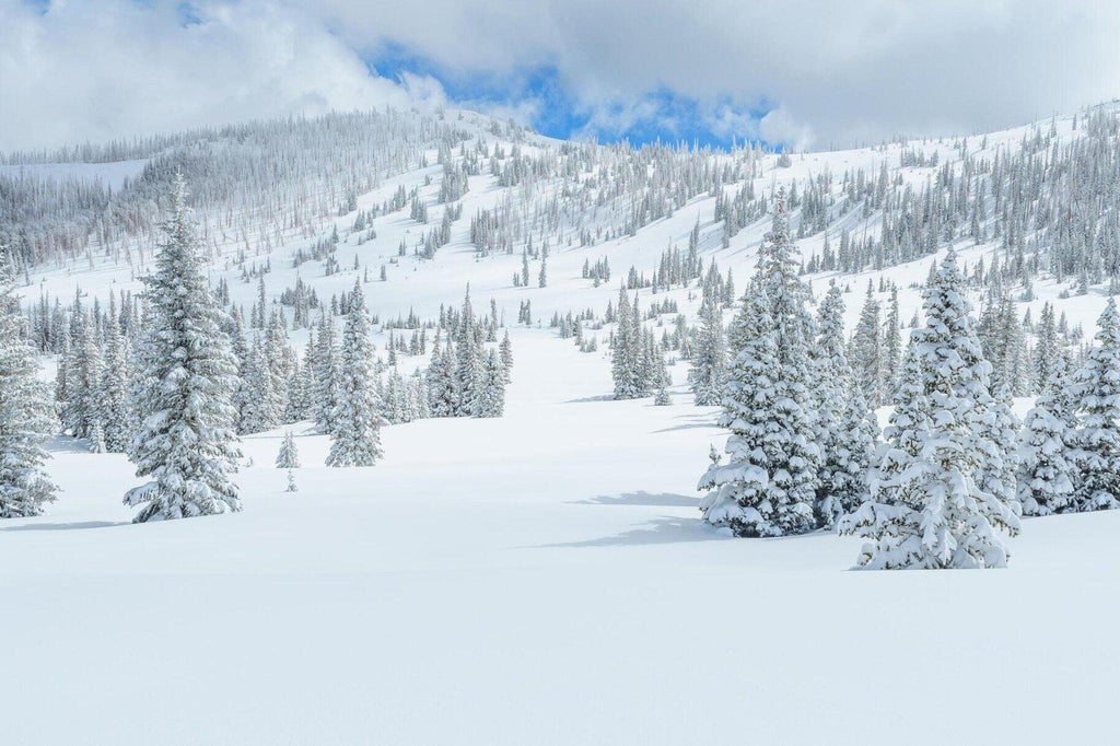Photo of Lot 16 Aspen Meadows Drive, Brian Head, UT 84719 (MLS # 26-276842)