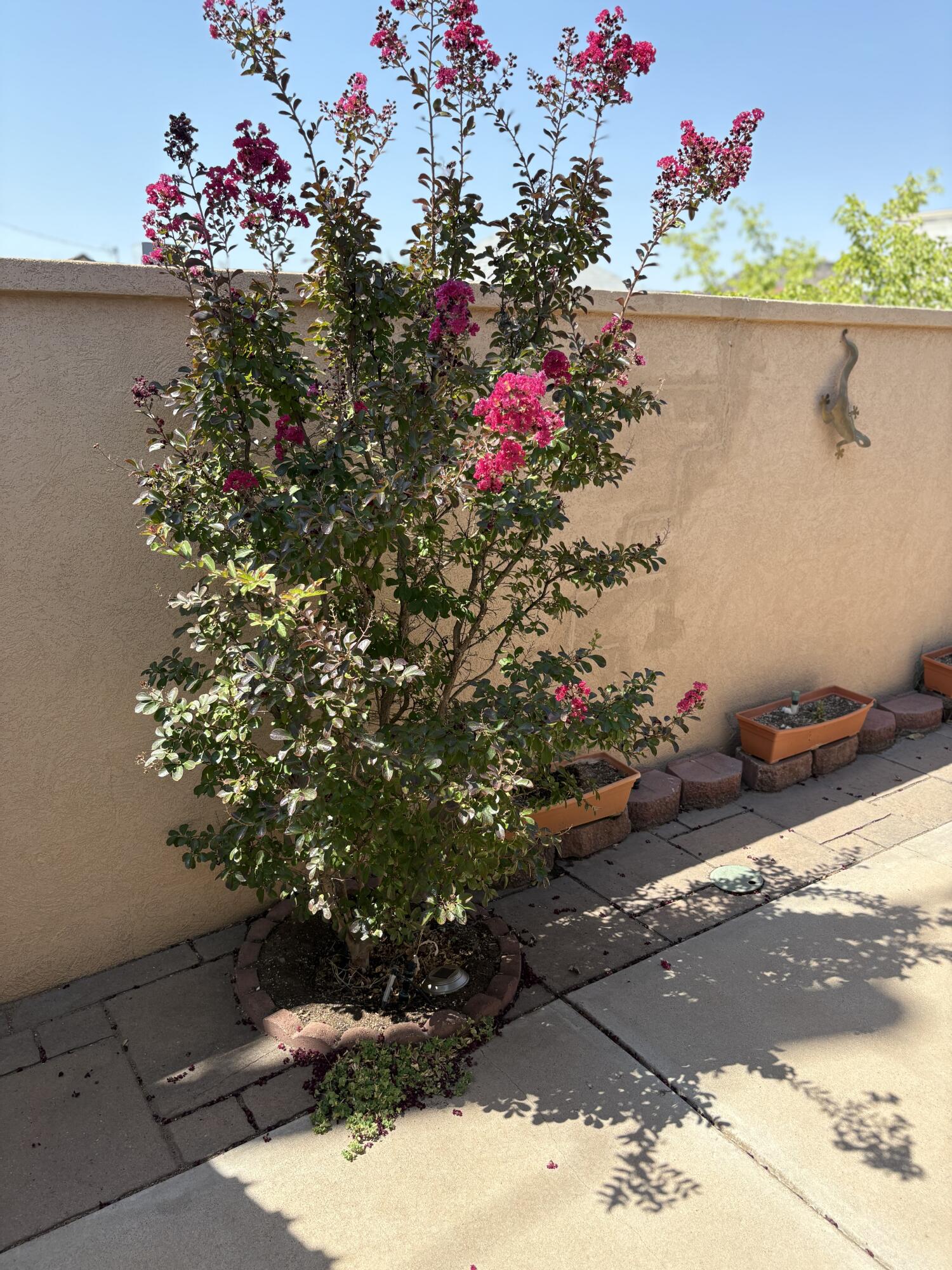 SUMMERSET TOWNHOMES - Residential