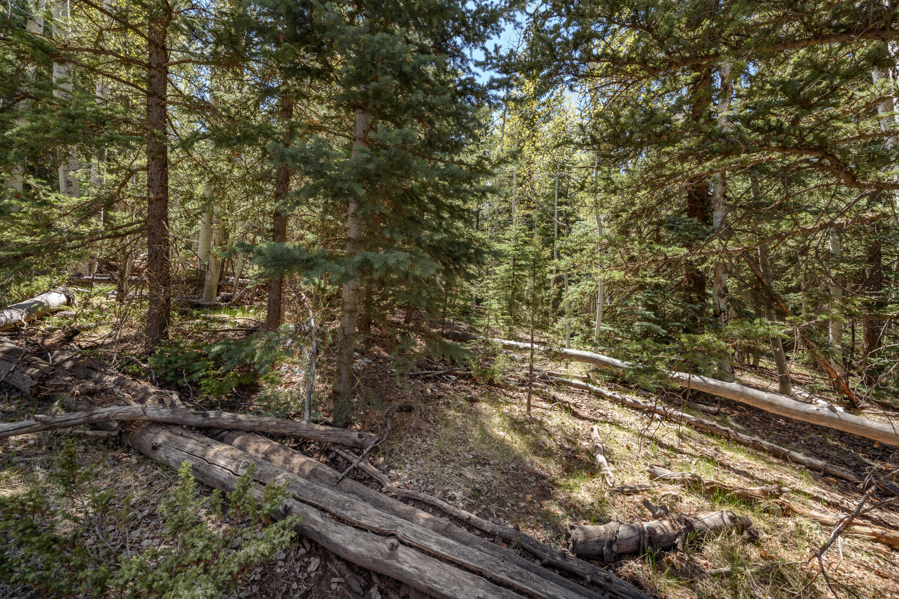 NOT AVAILABLE - Land