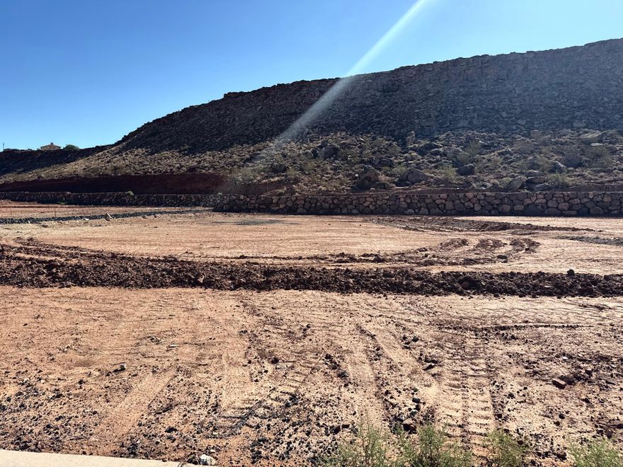 .50 acre lot with East facing backyard that also backs to open space. Located in North Rim Farms just 2 blocks from Crimson Cliffs High school. Use our customer builder or bring your own.