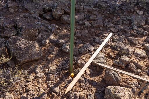 KOLOB RANCH ESTATES - Land