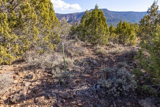KOLOB RANCH ESTATES - Land