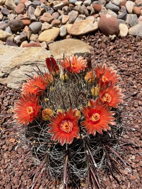 SUN RIVER - Residential