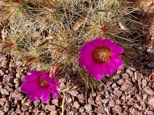 SUN RIVER - Residential