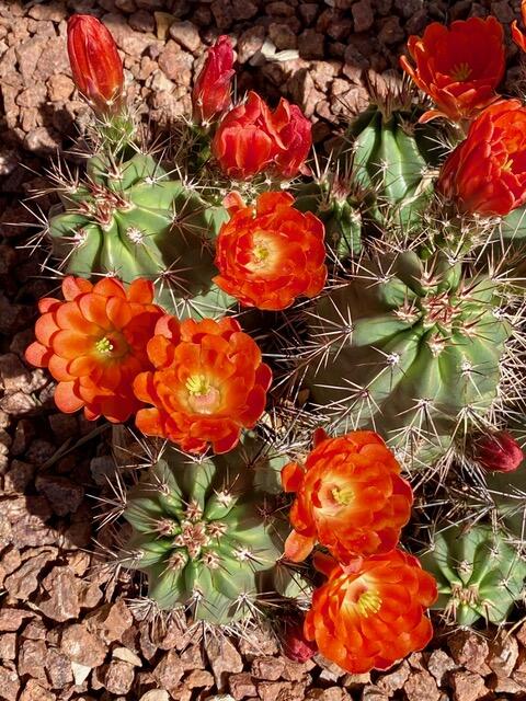 SUN RIVER - Residential