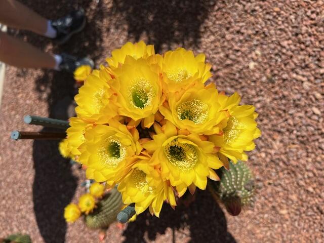 SUN RIVER - Residential