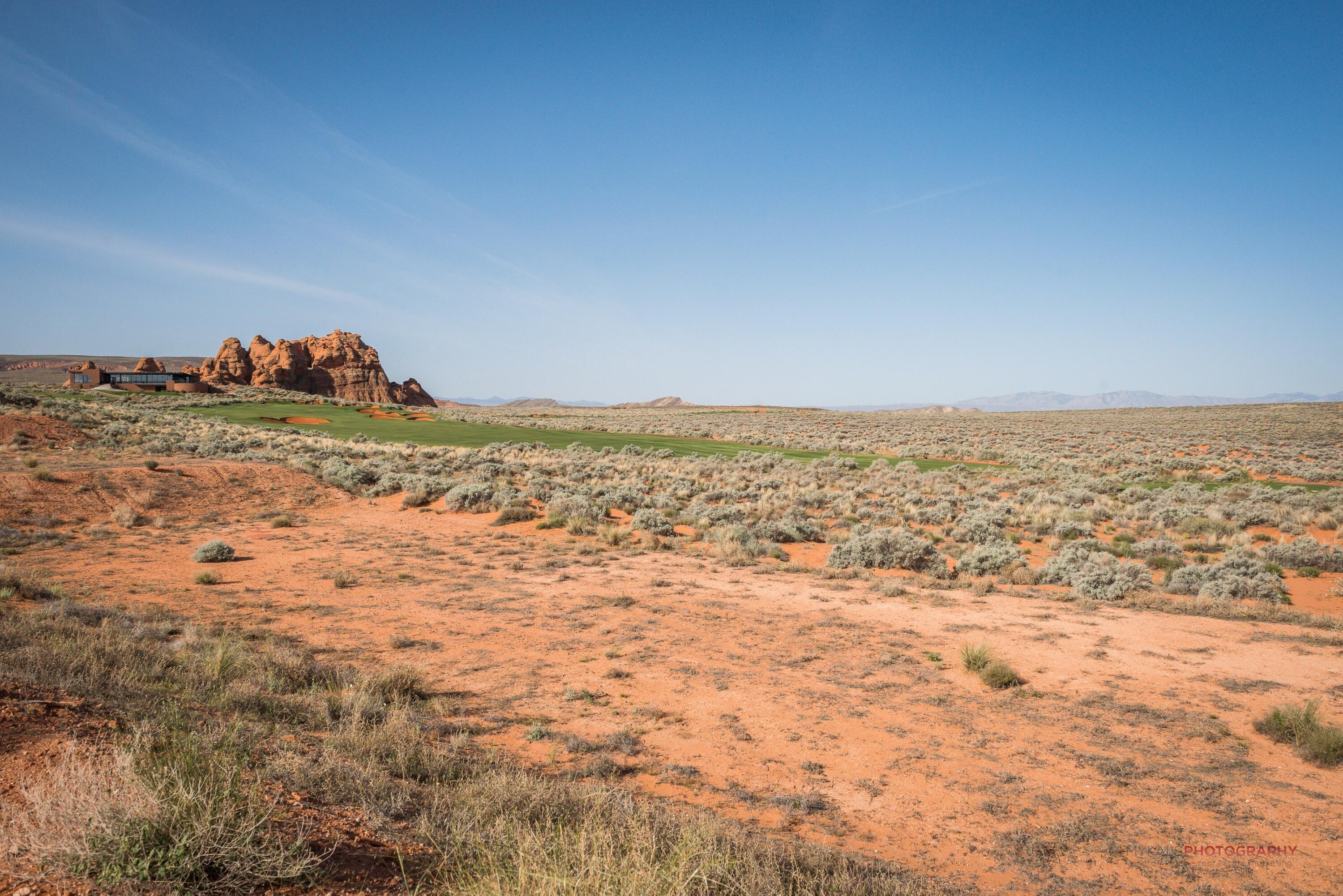 DIXIE SPRINGS - Residential