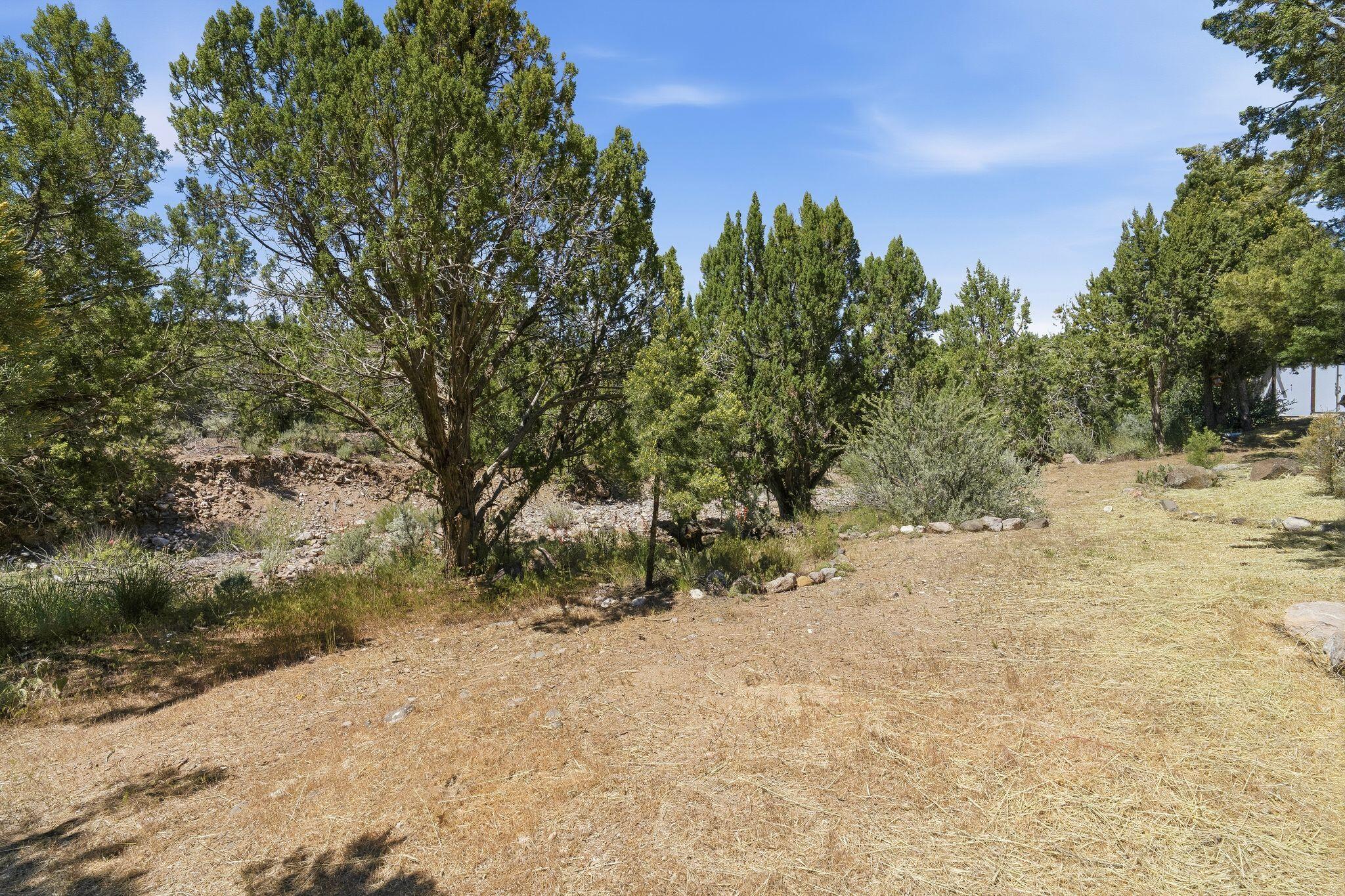 DIXIE DEER ESTATES - Residential