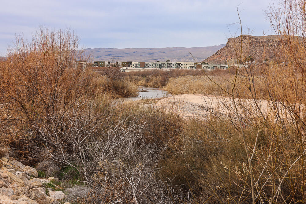 BLOOMINGTON RANCHES TOWNHOMES - Residential