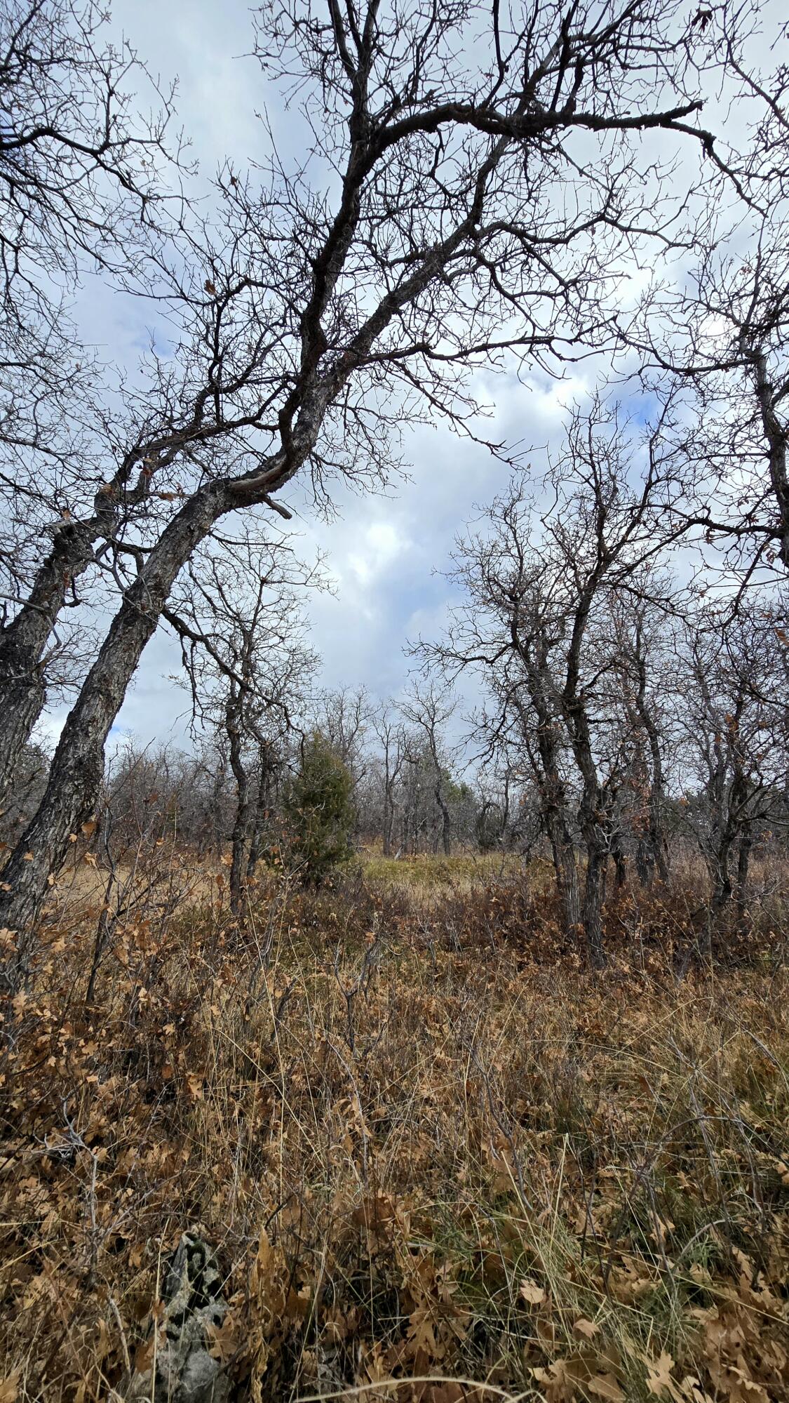 WHISPERING PINES SUB - Land