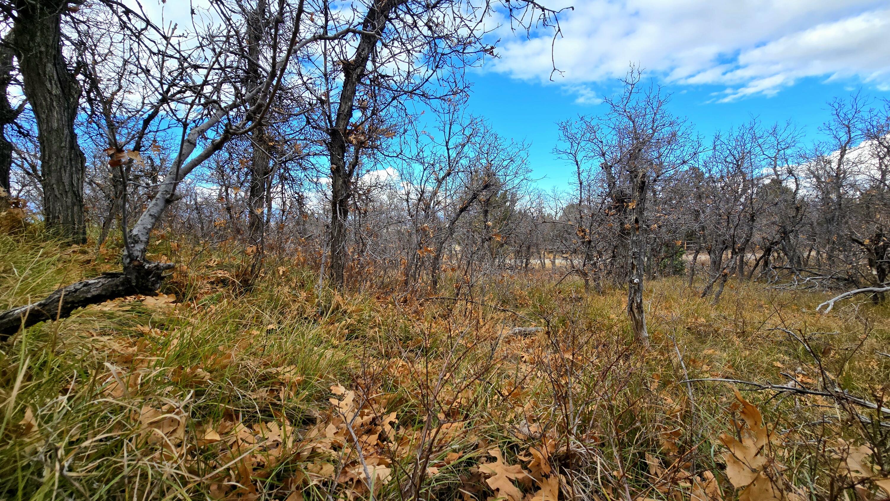 WHISPERING PINES SUB - Land