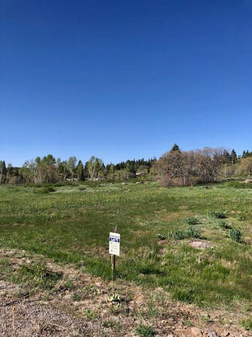 A beautiful Lot in Whispering Pines Subdivision on Kolob Mountain. 21 Miles north of the town of Virgin UT.  1.23 Acres comprising of level meadow and young aspens.  What a great spot for your cabin get-a-way! Includes a water connection with WCWCD which is the newest and most modern water system on Kolob.  A paved road takes you to the lot.  Phone and fiber optic internet service is available.  Come enjoy everything Kolob offers.  Only 2 miles from Kolob Reservoir.  Plentiful Deer and Elk.  Location of this lot is approx 3 miles from the start of the West Rim Trail. Come enjoy!