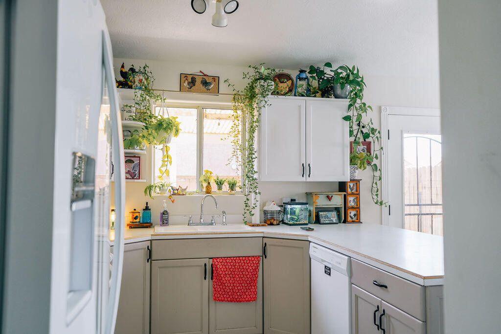 PHEASANT GLEN - Residential