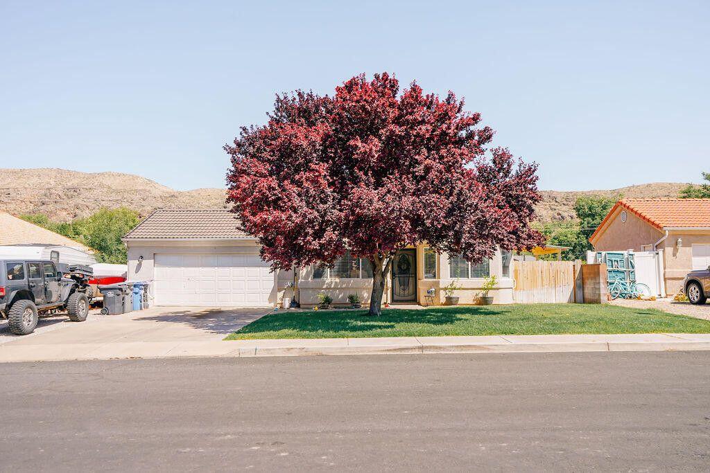 PHEASANT GLEN - Residential