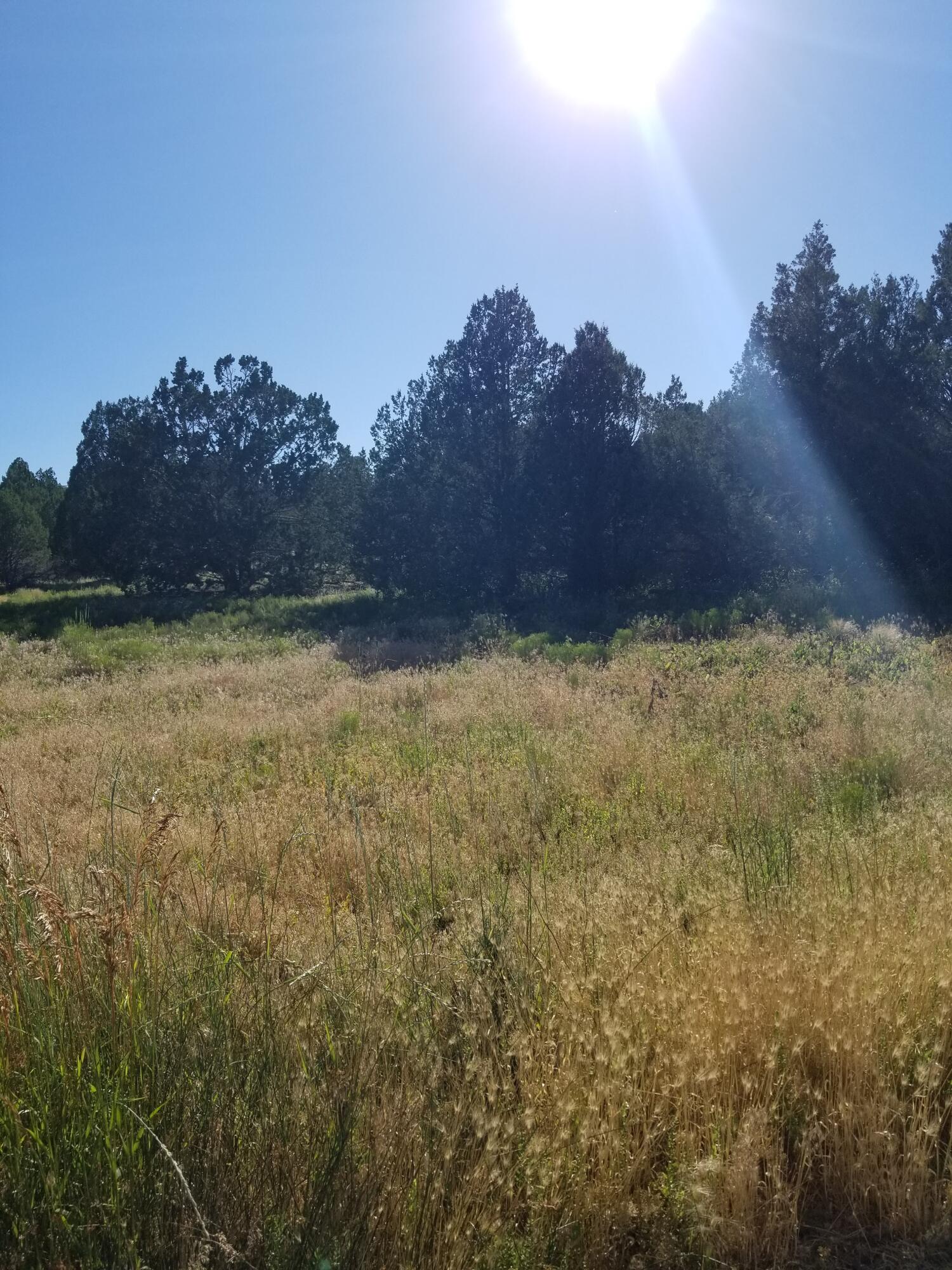 BLACKRIDGE RANCHES - Land