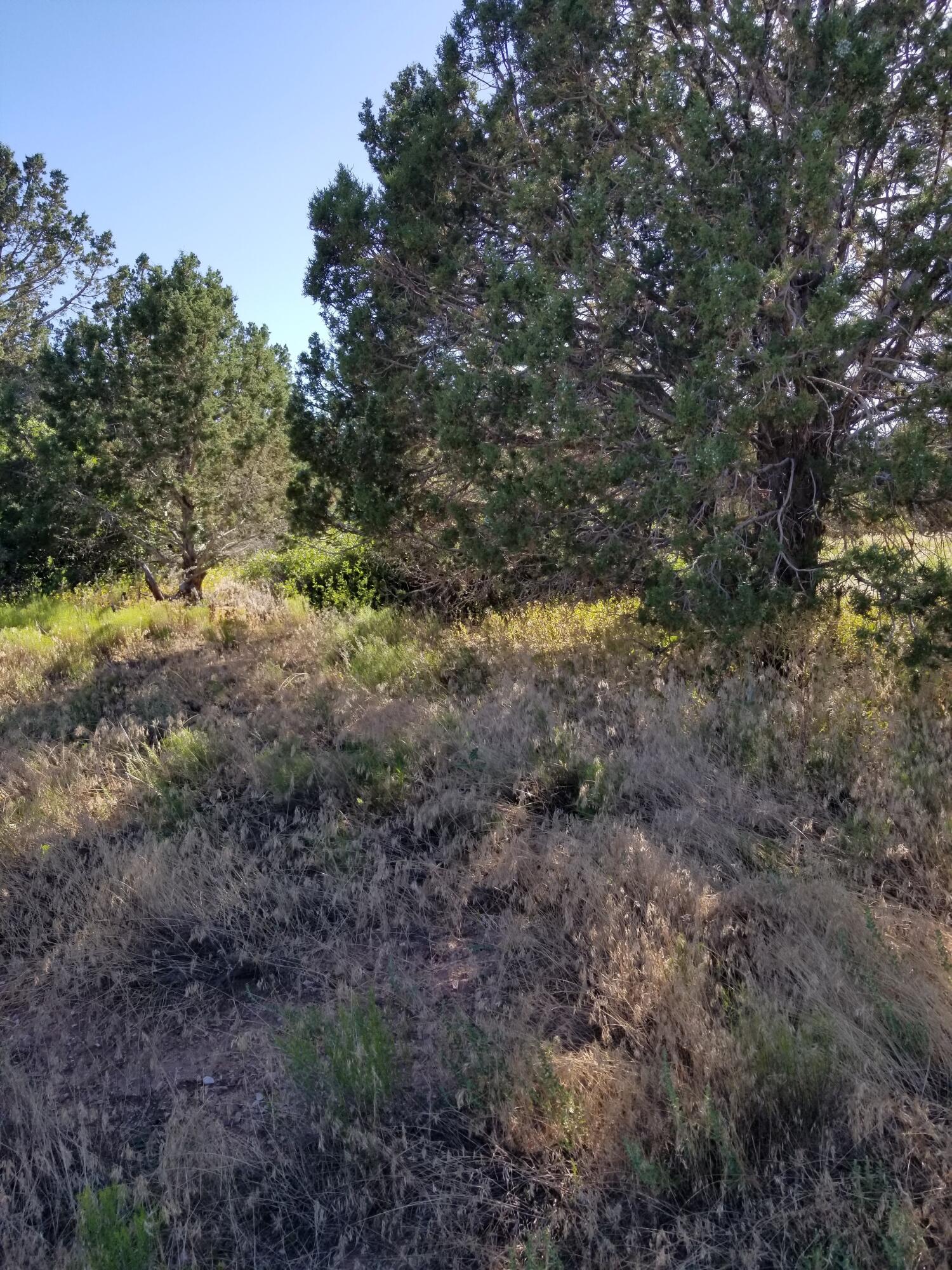 BLACKRIDGE RANCHES - Land