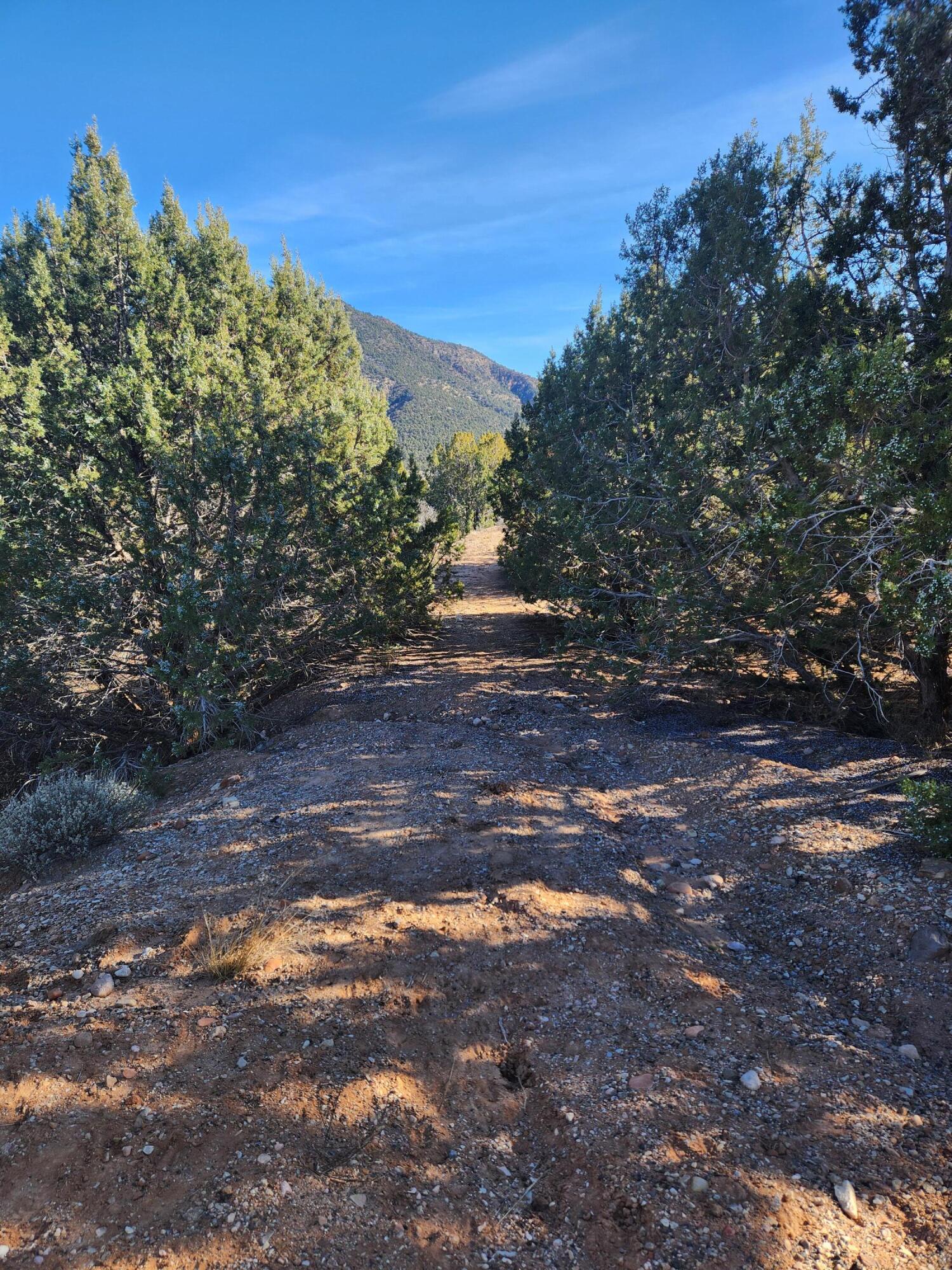 BLACKRIDGE RANCHES - Land