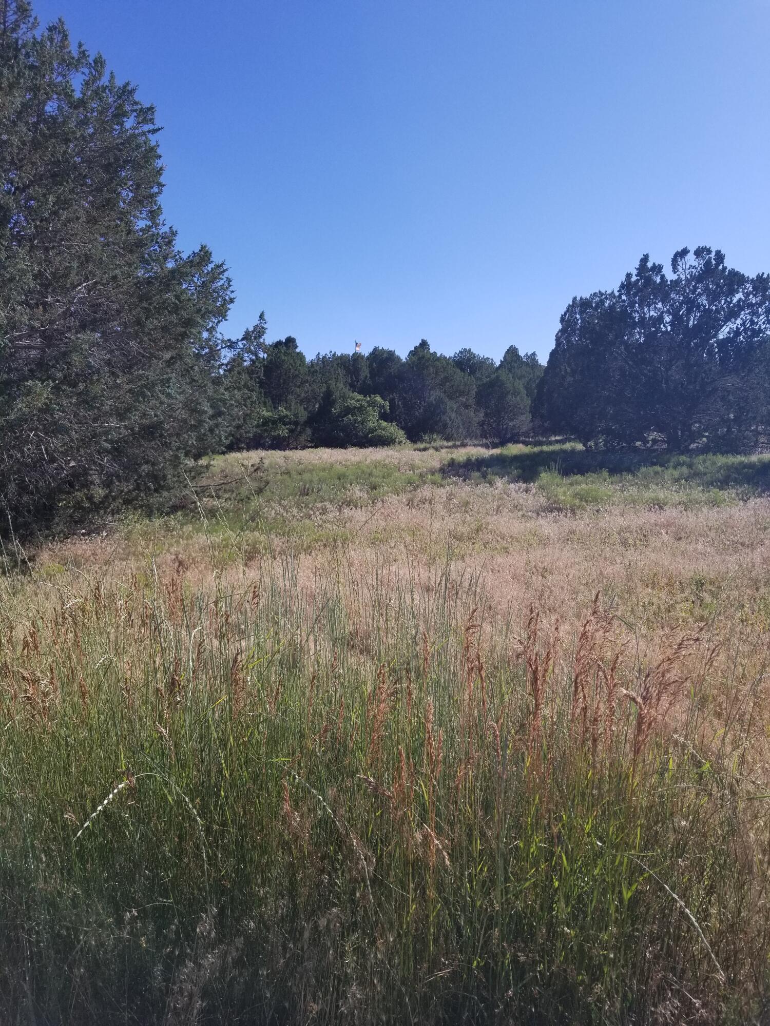 BLACKRIDGE RANCHES - Land