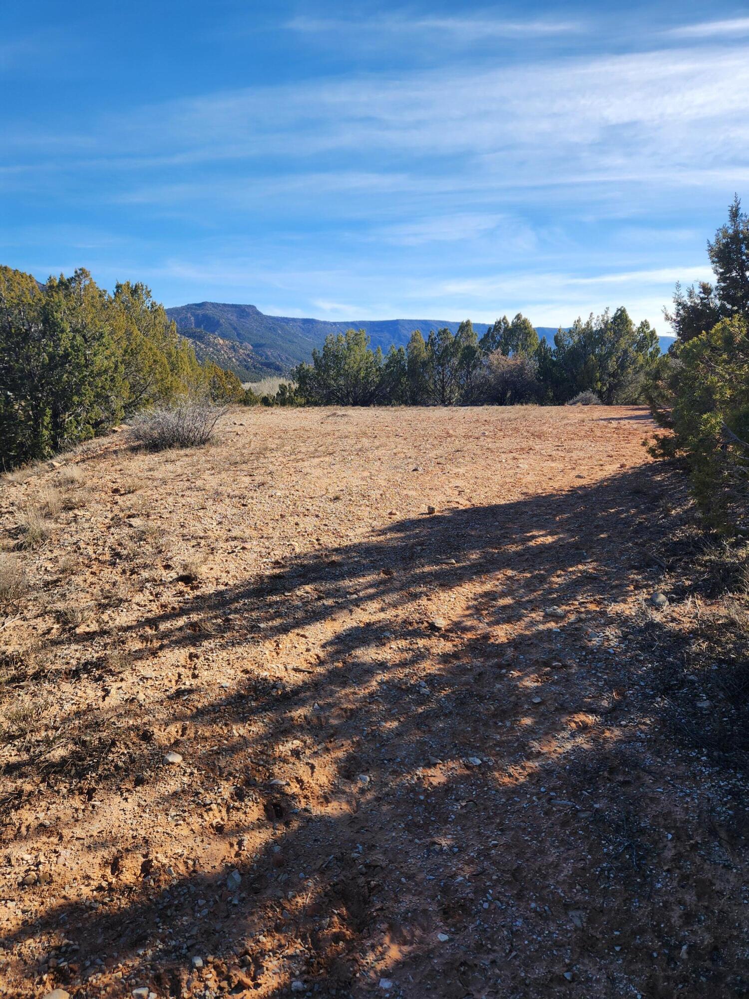 BLACKRIDGE RANCHES - Land