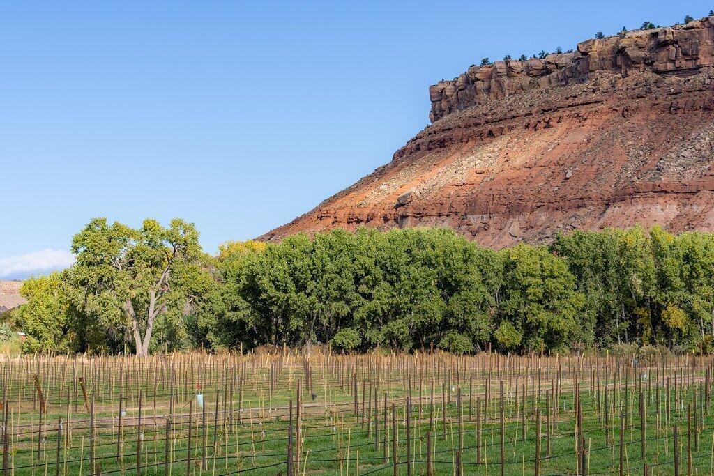 ROCKVILLE TOWNSITE - Residential