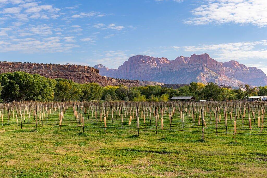 ROCKVILLE TOWNSITE - Residential