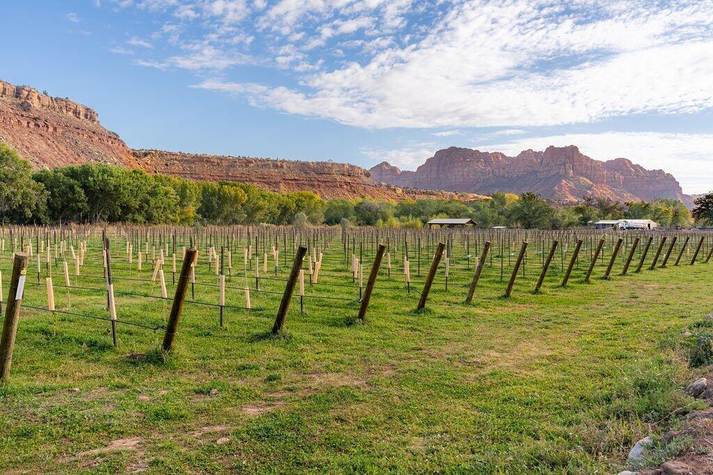 ROCKVILLE TOWNSITE - Residential