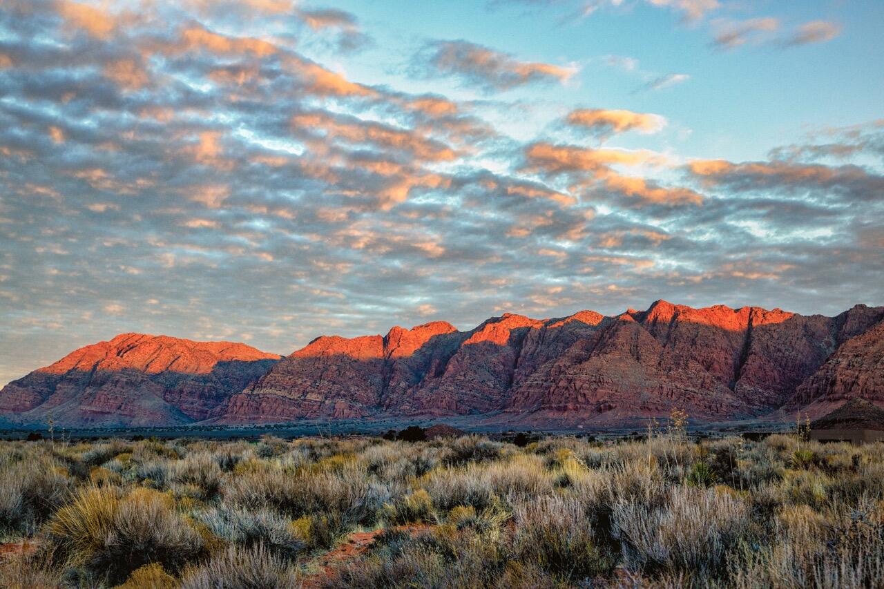 TAVIAWK - Residential