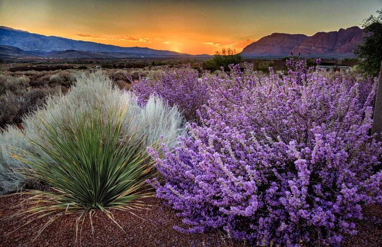 TAVIAWK - Residential