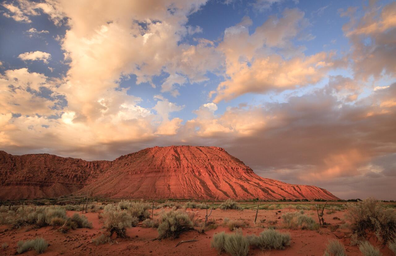 TAVIAWK - Residential