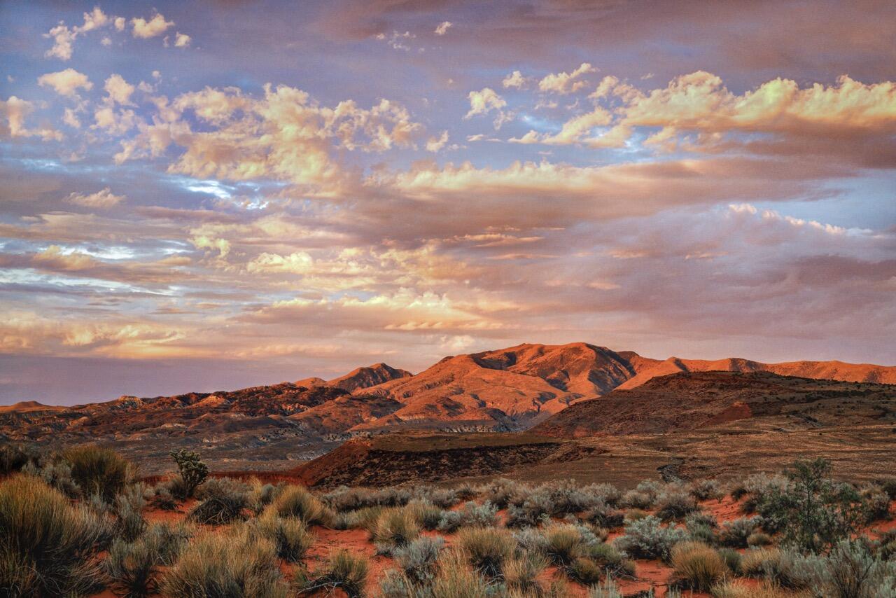 TAVIAWK - Residential