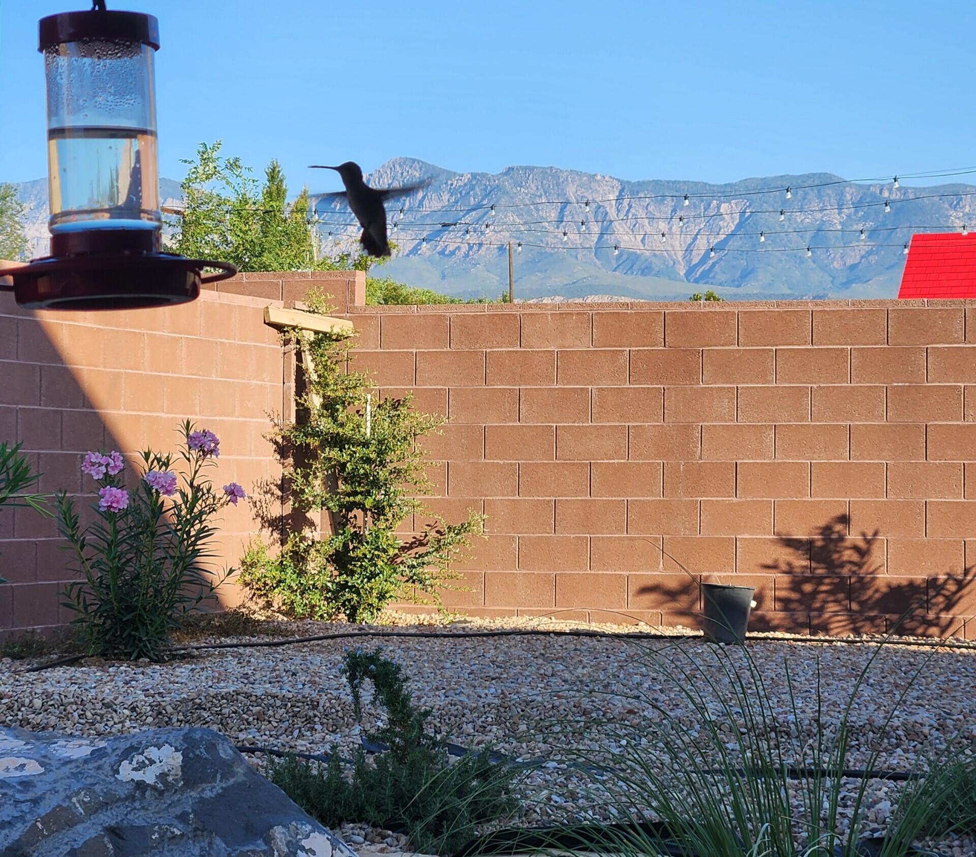 TOQUERVILLE TOWNSITE - Residential