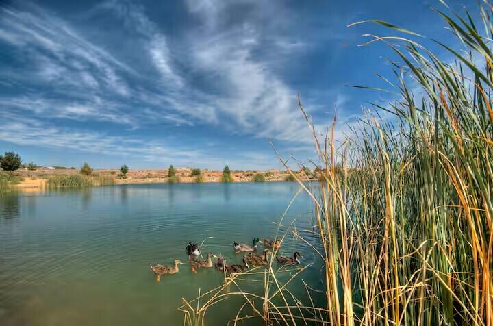 CORAL RIDGE TOWNHOMES - Residential