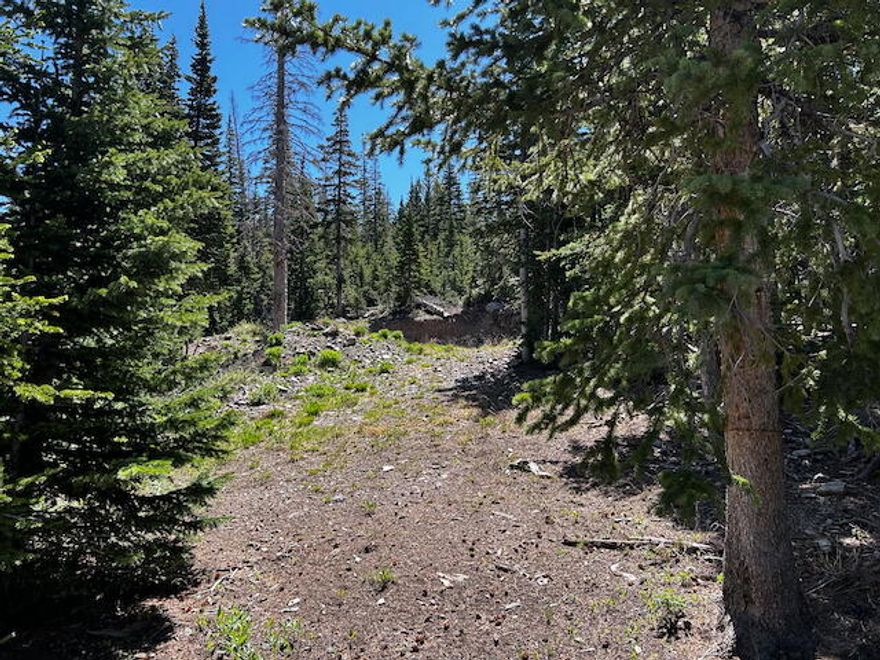 Escape to the mountains and build your dream home or vacation getaway on this beautiful residential lot in Brian Head, Utah—Southern Utah's premier alpine destination!
Situated at an elevation of over 10,300 feet, this serene and wooded lot offers breathtaking views of Brian Head Peak and Cedar Breaks, year-round access, and close proximity to world-class skiing, snowboarding, hiking, Trail Running and mountain biking. Whether you're seeking a cozy cabin retreat or a custom mountain chalet, this parcel provides the ideal setting.
----------------------------------------------------- Property Highlights:
*	Sloped, buildable terrain perfect for a custom home
*	Minutes from Brian Head Resort ski lifts and hundreds of miles of trails (The resort's property is literally bordering this one) 
*	Nearby access to Cedar Breaks National Monument and Dixie National Forest
*	Year-round access with maintained roads
*	Peaceful alpine surroundings with mature pines and aspens
*	Potential for short-term rental income 

Don't miss this opportunity to own a piece of Utah's hidden mountain paradise. Whether you're planning a full-time residence, seasonal escape, or investment property, this lot is your blank canvas for adventure and relaxation.